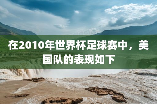 在2010年世界杯足球赛中，美国队的表现如下