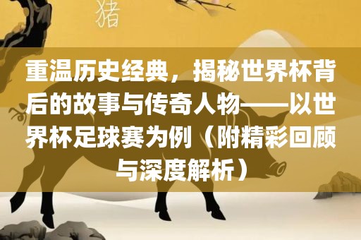 重温历史经典，揭秘世界杯背后的故事与传奇人物——以世界杯足球赛为例（附精彩回顾与深度解析）