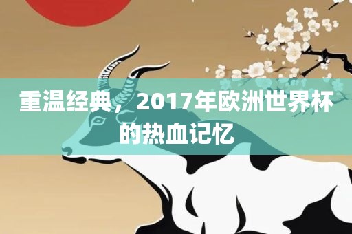 重温经典，2017年欧洲世界杯的热血记忆