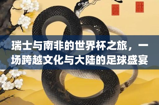 瑞士与南非的世界杯之旅，一场跨越文化与大陆的足球盛宴